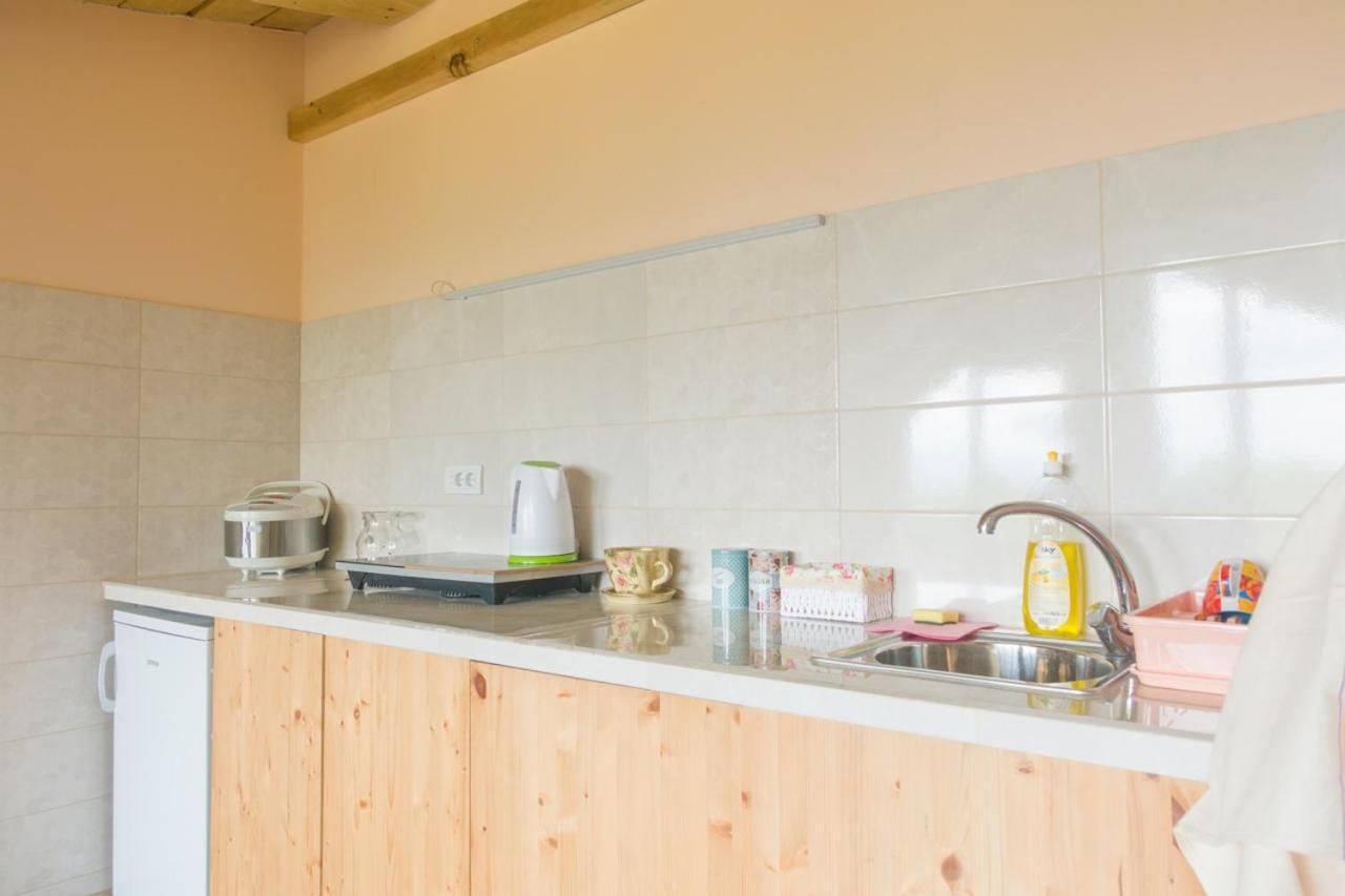 Irina Guest House Soko Banja Ngoại thất bức ảnh