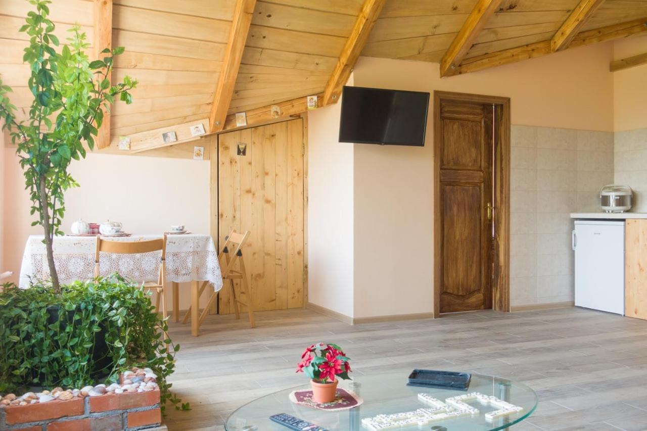 Irina Guest House Soko Banja Ngoại thất bức ảnh