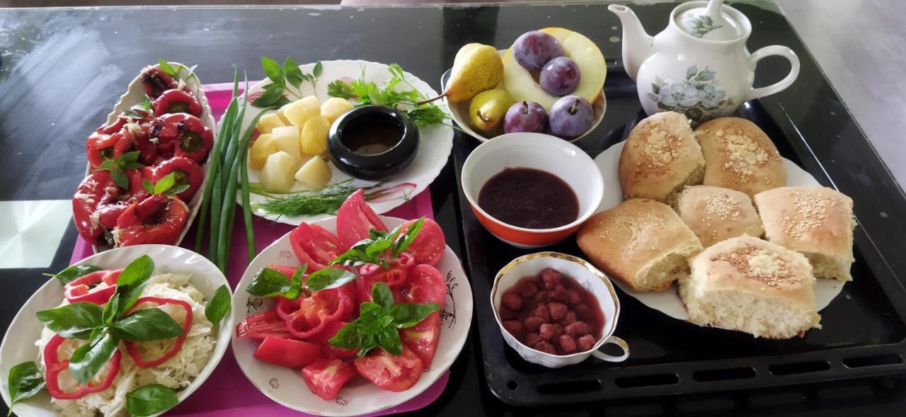 Irina Guest House Soko Banja Ngoại thất bức ảnh